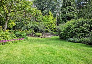 Optimiser l'expérience du jardin à Bazoches-les-Hautes